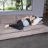 The Secret to Actually Sleeping Through Pregnancy? It Might Be This One Pillow